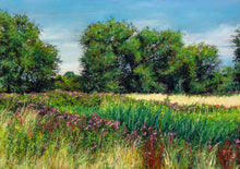 Load image into Gallery viewer, Avon Meadows Summer No 1