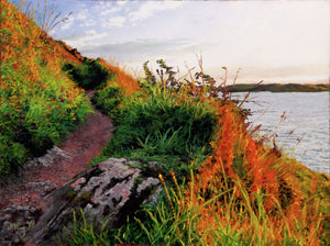 Manorbier Coast Path