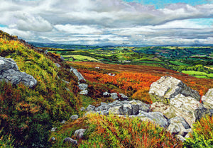 View West From the Stiperstones